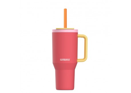 Rio Gourde Isotherme avec Paille Rétractable 950 ml Rose Pink Papaya  - Kambukka