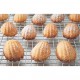 Bakvorm voor 12 Madeleines in Staal met PFAS-vrije Antiaanbaklaag 41,5 x 21,5 cm - Tala