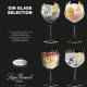 Verres Gin Tonic Set Mixte (4 pcs)  - Luigi Bormioli
