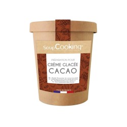 Préparation pour Glace Maison Cacao 185 g 