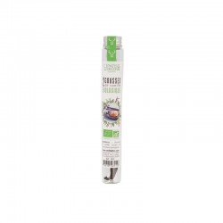 Vanillestokjes Bio 2 dlg