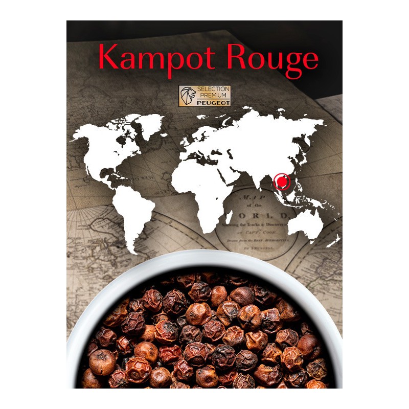 Sachets Fraicheur Poivre Rouge Kampot 3x20g - Peugeot