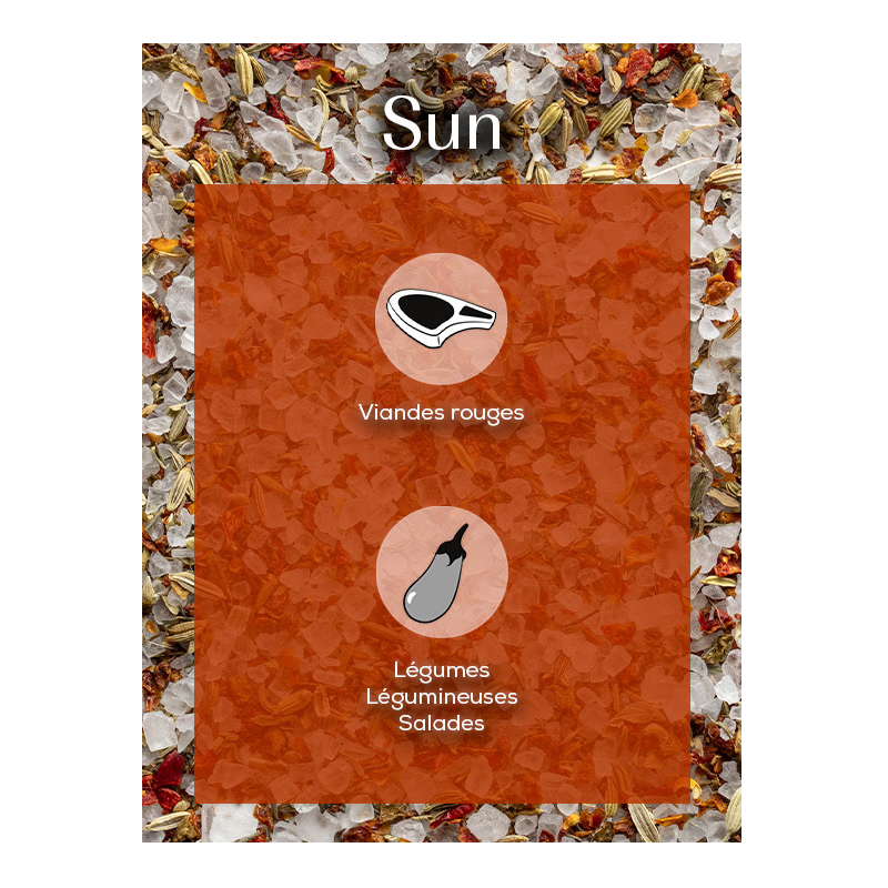 Sachets Fraicheur Sun Mélange Gros Sel Sec et Herbes Aromatiques 3x45g - Peugeot