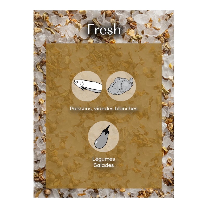 Sachets Fraicheur Fresh Mélange Gros Sel Sec Epices Agrumes 3x45g - Peugeot