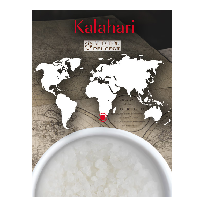 Sachets Fraicheur Gros Sel Blanc Sec Désert Kalahari pour Moulins 7x50g - Peugeot