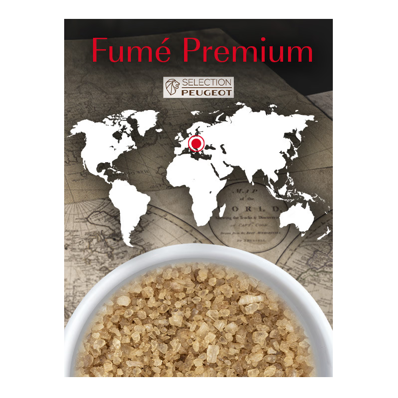 Sachets Fraicheur Gros Sel Sec Fumé Artisanal Premium pour Moulins 3x50g - Peugeot