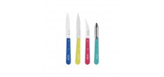 Coffret Les Essentiels Pop 80 3 Couteaux + Eplucheur Inox Manche en Bois 