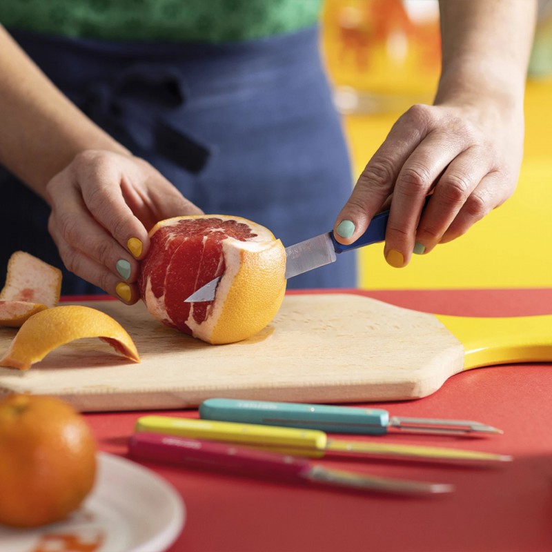 Coffret Les Essentiels Pop 80 3 Couteaux + Eplucheur Inox Manche en Bois - Opinel