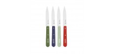 N°112 Coffret de 4 Couteaux Office Inox 10 cm Manche Bois Couleurs Paysage