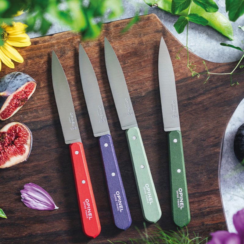 N°112 Coffret de 4 Couteaux Office Inox 10 cm Manche Bois Couleurs Paysage - Opinel