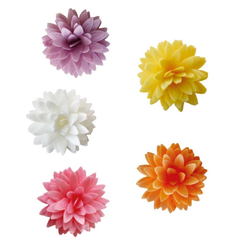 Fleurs Dahlias Comestibles en Azyme pour Déco Gâteau Pastel Ø3 cm 5 Pcs - Scrapcooking
