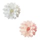 Fleurs Dahlias Comestibles en Azyme pour Déco Gâteau Blanc Rose Ø3 cm 5 Pcs - Scrapcooking