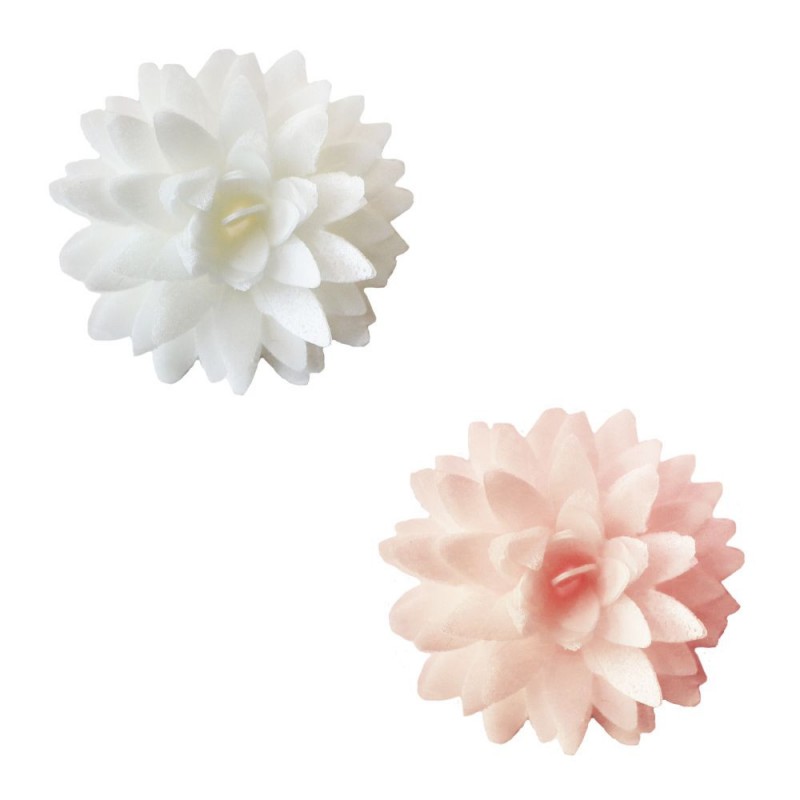 Fleurs Dahlias Comestibles en Azyme pour Déco Gâteau Blanc Rose Ø3 cm 5 Pcs - Scrapcooking