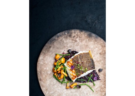 Poissons Automne - Hiver