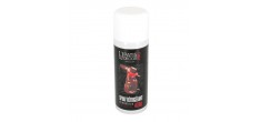 Patis'gel Spray Refroidissant Alimentaire pour Chocolat 400 ml 