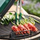 Grille en Fonte Barbecue Large 46 cm - Big Green Egg