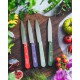 N°112 Couteau Office Lame en Inox 10 cm Manche en Bois Mauve Violet - Opinel