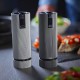 Line Electrique Moulin à Sel 15 cm Aluminium Gris Clair Zirlion - Peugeot