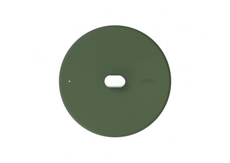 La Merveilleuse Couvercle Inox Vert Fougère 24 cm - Cookut