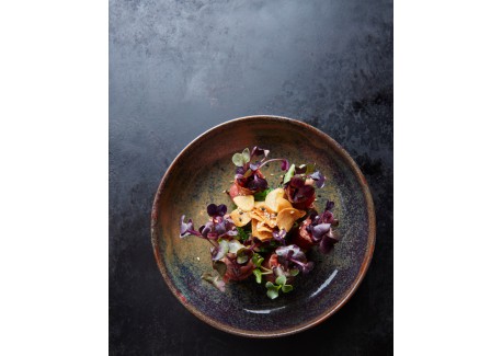 Bols Gastronomiques Automne - Hiver