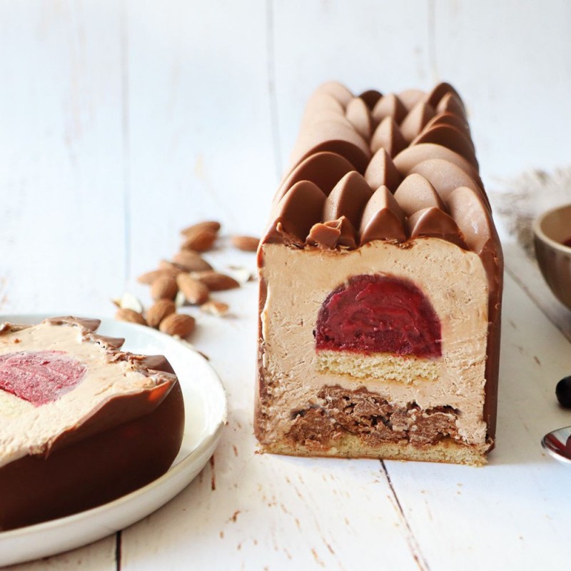 Instant Cakevormenkit met Insertvorm en Silicium Biscuitmat + Recepten - Scrapcooking