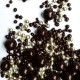 Déco Gâteau Perles Croustillantes en Chocolat Noir et Doré 50g  - Scrapcooking