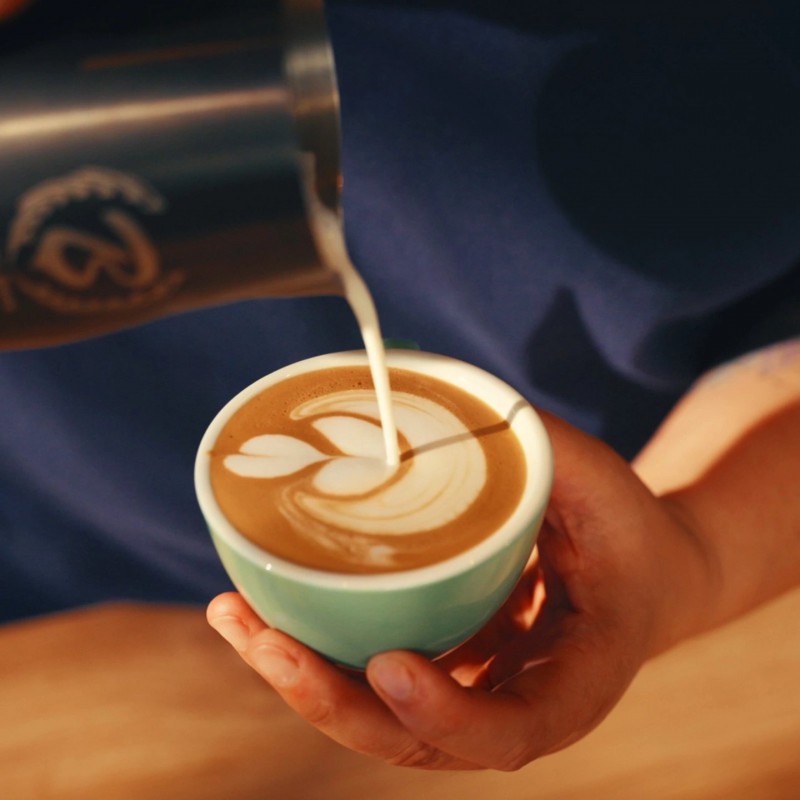 MS402 Mousseur à Lait Chauffe Lait Compact Electrique Inox Noir 240 ml  - Graef