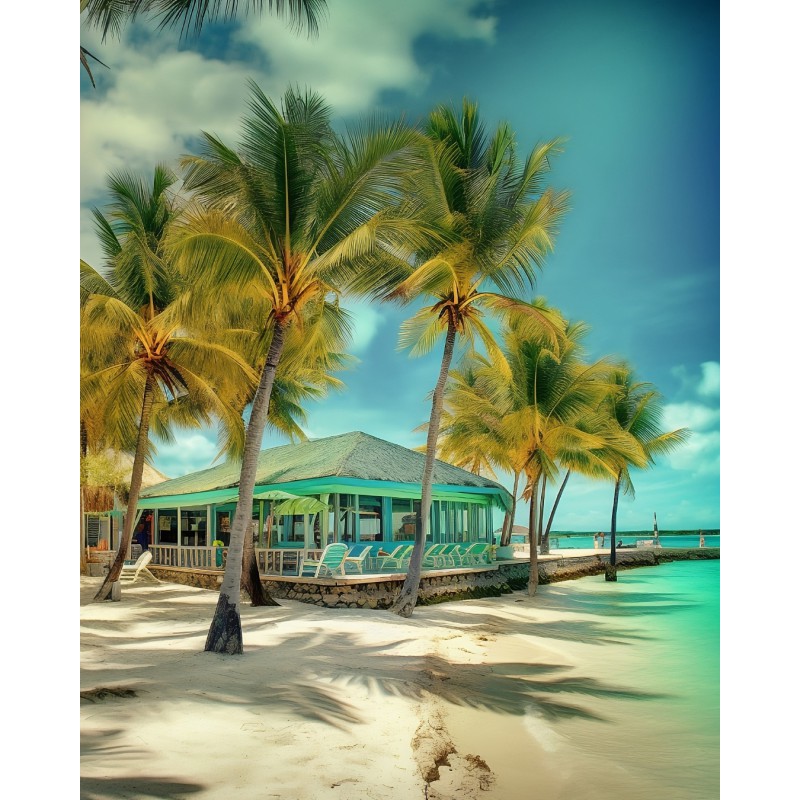 Street Food Antillaise - Martinique