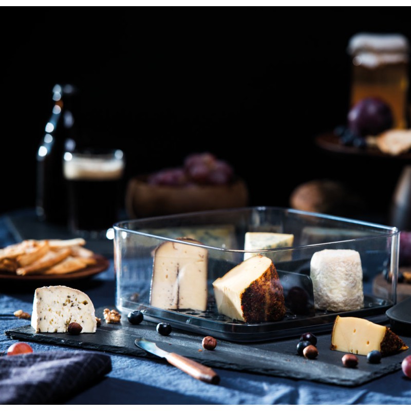 Plus Boîte à Fromage 4 Compartiments avec Couvercle Hermétique 24x24 cm  - Amuse