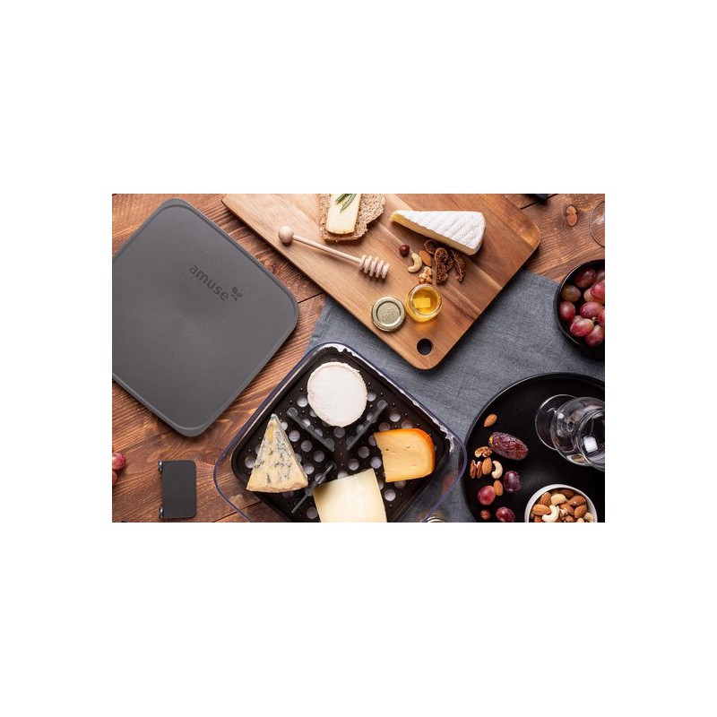 Plus Boîte à Fromage 4 Compartiments avec Couvercle Hermétique 24x24 cm - Amuse