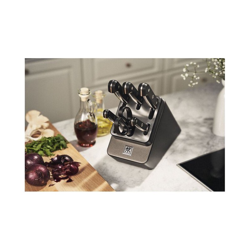 Gourmet Messenblok met Geïntegreerde Slijper 7-delig Antraciet - Zwilling