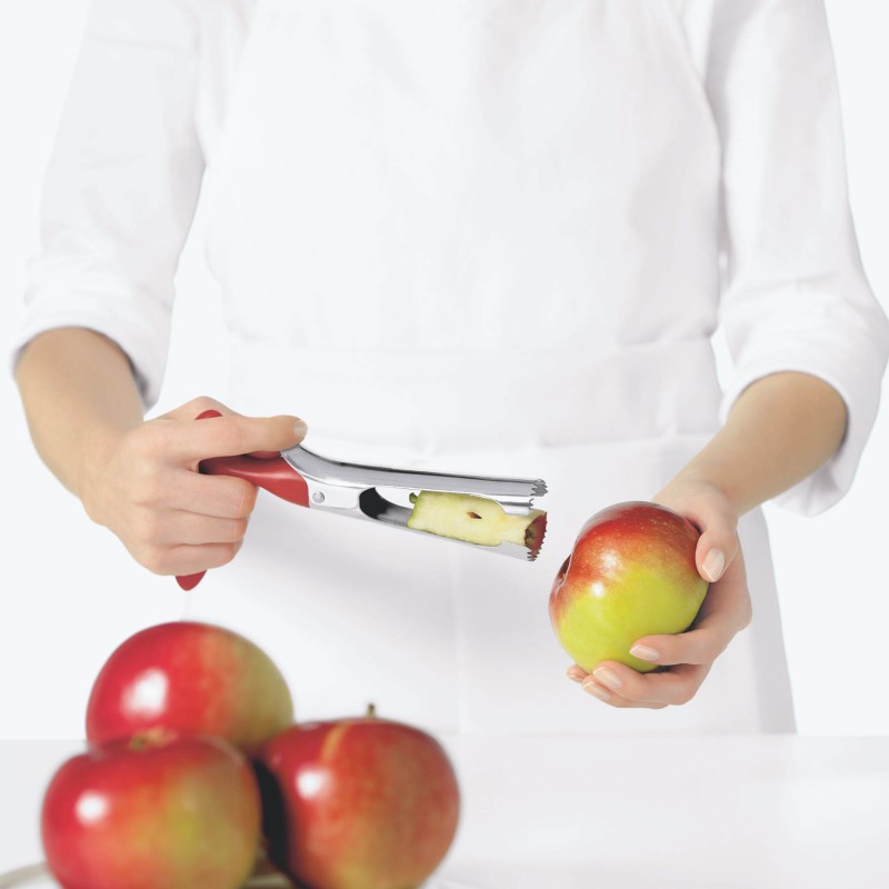 Vide Pomme Inox à Levier 18 cm  - Cuisipro