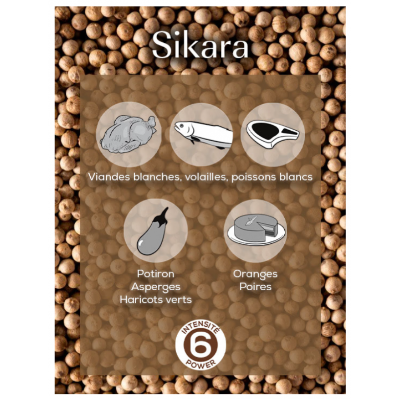 Sachets Fraicheur Poivre Blanc Sikara 3x20g - Peugeot