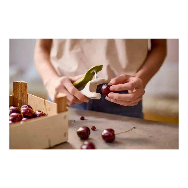 Tweezy Dénoyauteur Cerises Olives et Equeuteur à Fraises 3 en 1 Vert 17 cm - Joseph Joseph