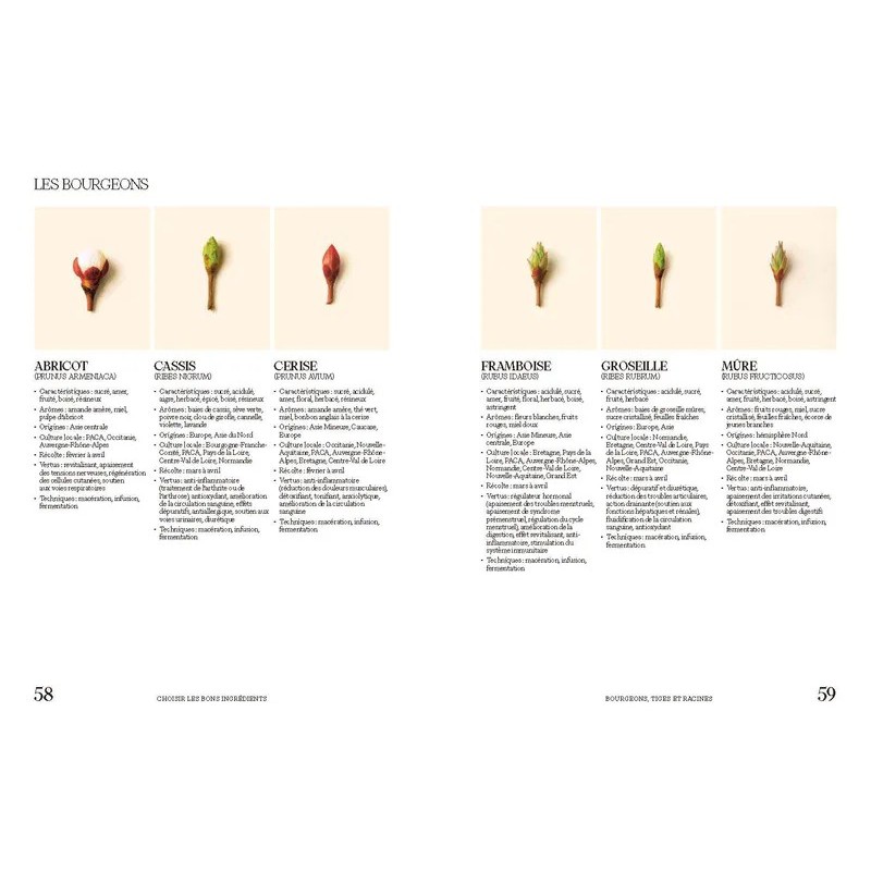 Sobrelier - Guide pour Faire du Jamais Bu  - Editions du Chêne