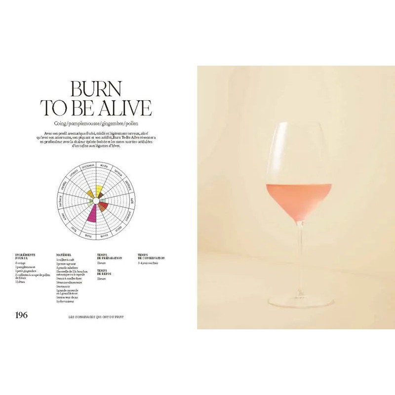 Sobrelier - Guide pour Faire du Jamais Bu  - Editions du Chêne