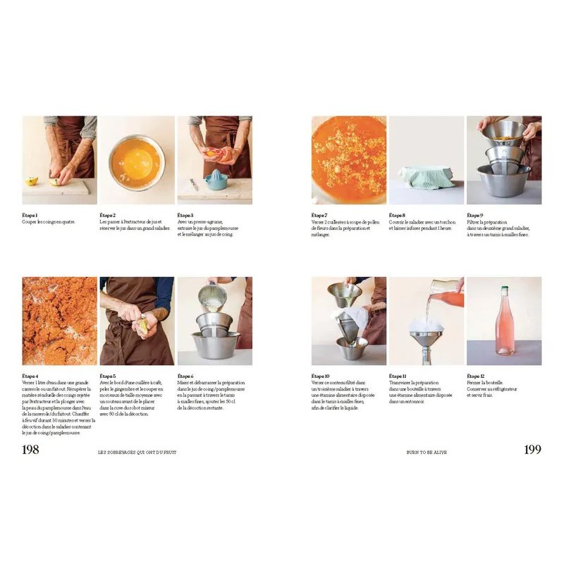 Sobrelier - Guide pour Faire du Jamais Bu  - Editions du Chêne