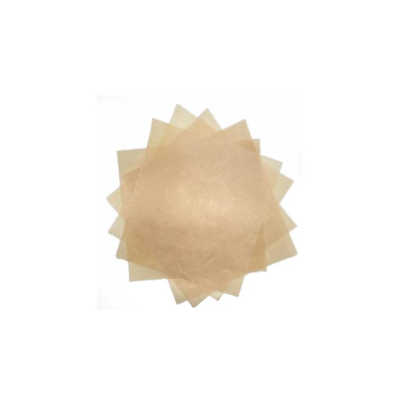 Feuille de Séchage Silicone pour Déshydrateur Smart Food EP5800 5 pcs  - Espressions