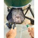 Starterspack Master Set Barbecue à Charbon Medium 38 cm + Accessoires 9pcs  - Big Green Egg