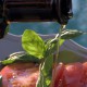 H de Leos Huile d'Olive Vierge Extra Fruité Vert 250 ml - Leos
