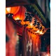 Street Food Japonaise - Kyushu