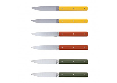 9.47 Coffret Couteaux de Table Jaune Mimosa Terre Battue Vert Fougère 6 pcs  - Perceval