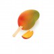 Gel20 Mango 3D 12 Ijsvorm Magnum 50 ijslollystokjes - Silikomart Professional