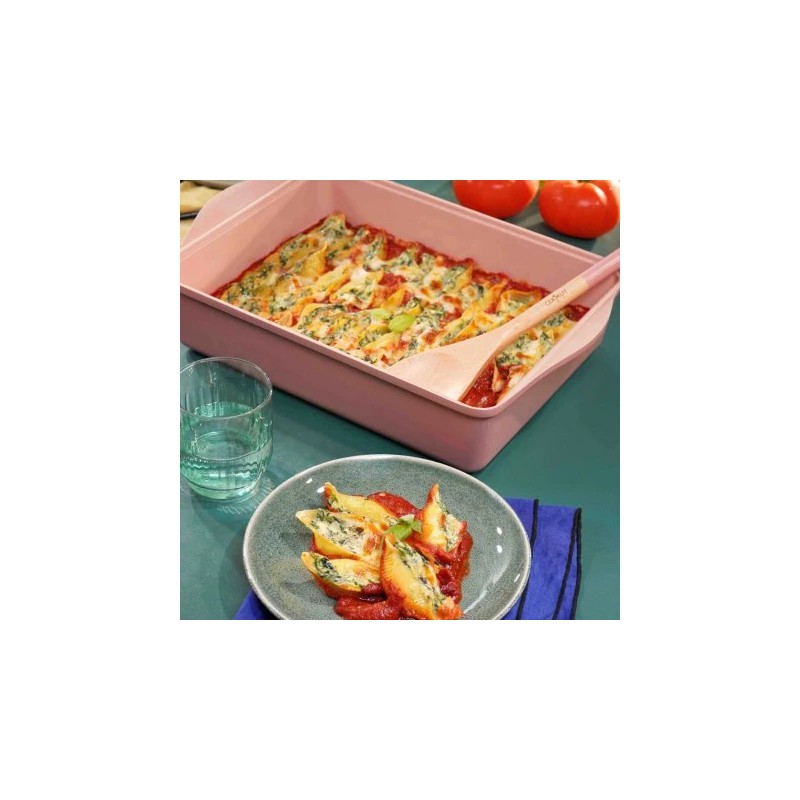 Livre 1 Plat à Four Ajustable 120 Recettes  - Cookut