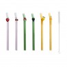 Pailles Réutilisables Colorées en Verre Motif Fruits 6 pcs + Goupillon 16 cm 