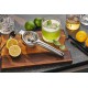 Lemon Citroenpers van RVS met Filter en Handgreep 22 cm - Gefu