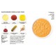 Simplissime Sauces - Hachette