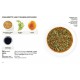 Simplissime Sauces - Hachette