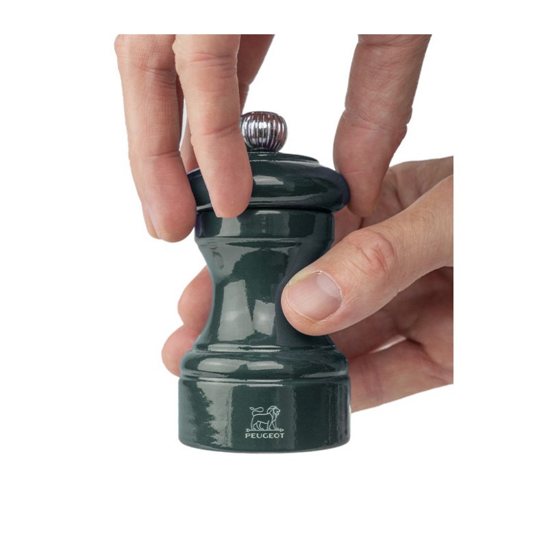 Bistro Moulin à Sel 10 cm Bois Laqué Vert Forêt Zirlion  - Peugeot