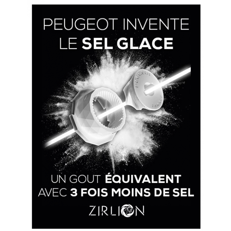 Oléron Moulin à Sel 14 cm Acryl Transparent et Bois Naturel Zirlion  - Peugeot